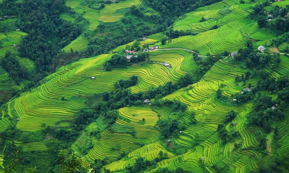 Bac Ha & Si Ma Cai Loop