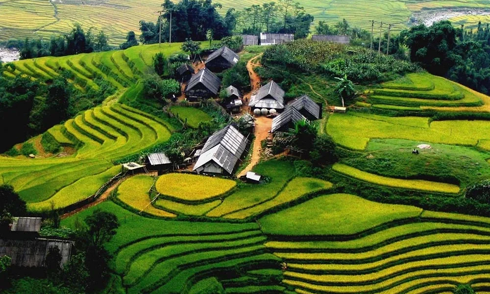 Sapa Town & Local Villages