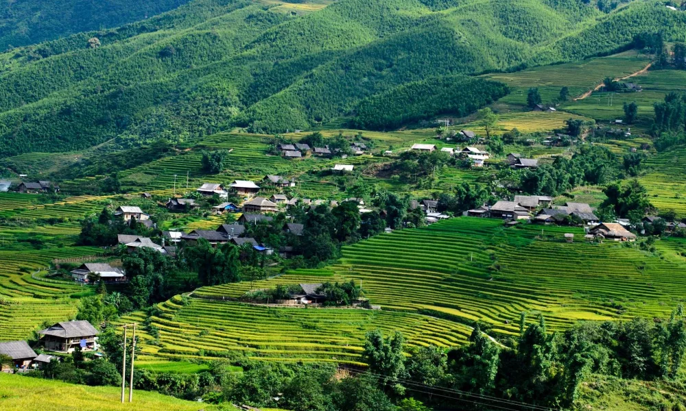 Ta Van Village Homestay